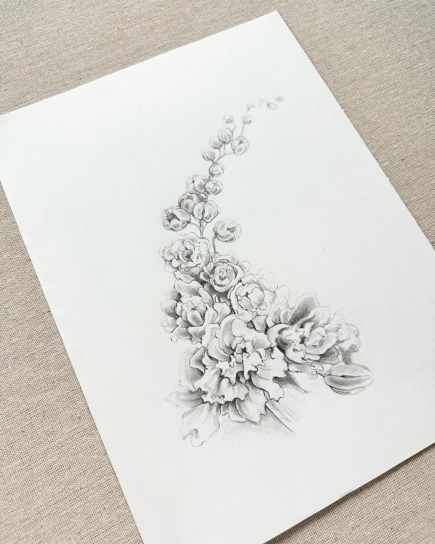 DELPHINIUM {blue}