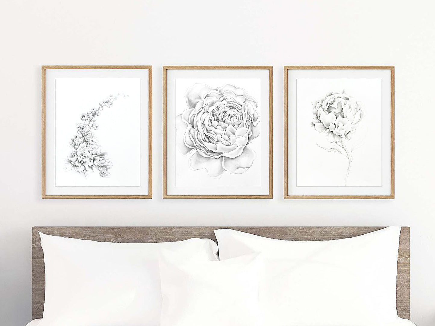 PEONY {blush}