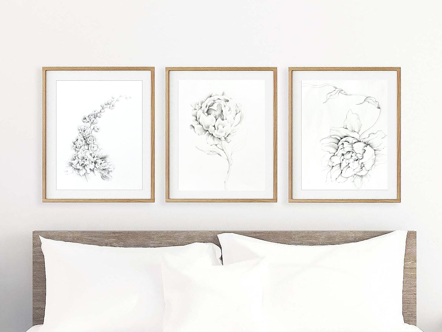 PEONY {white}