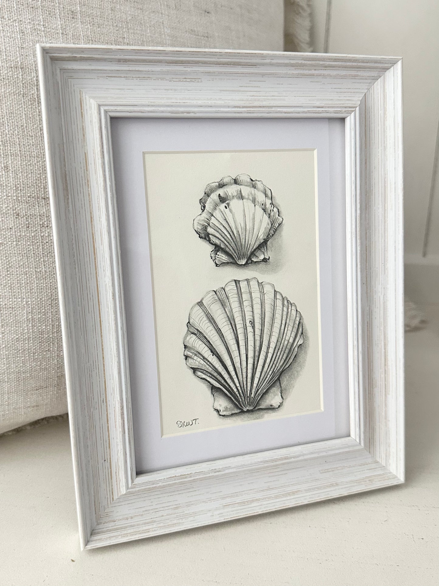 SEASHELL DUO