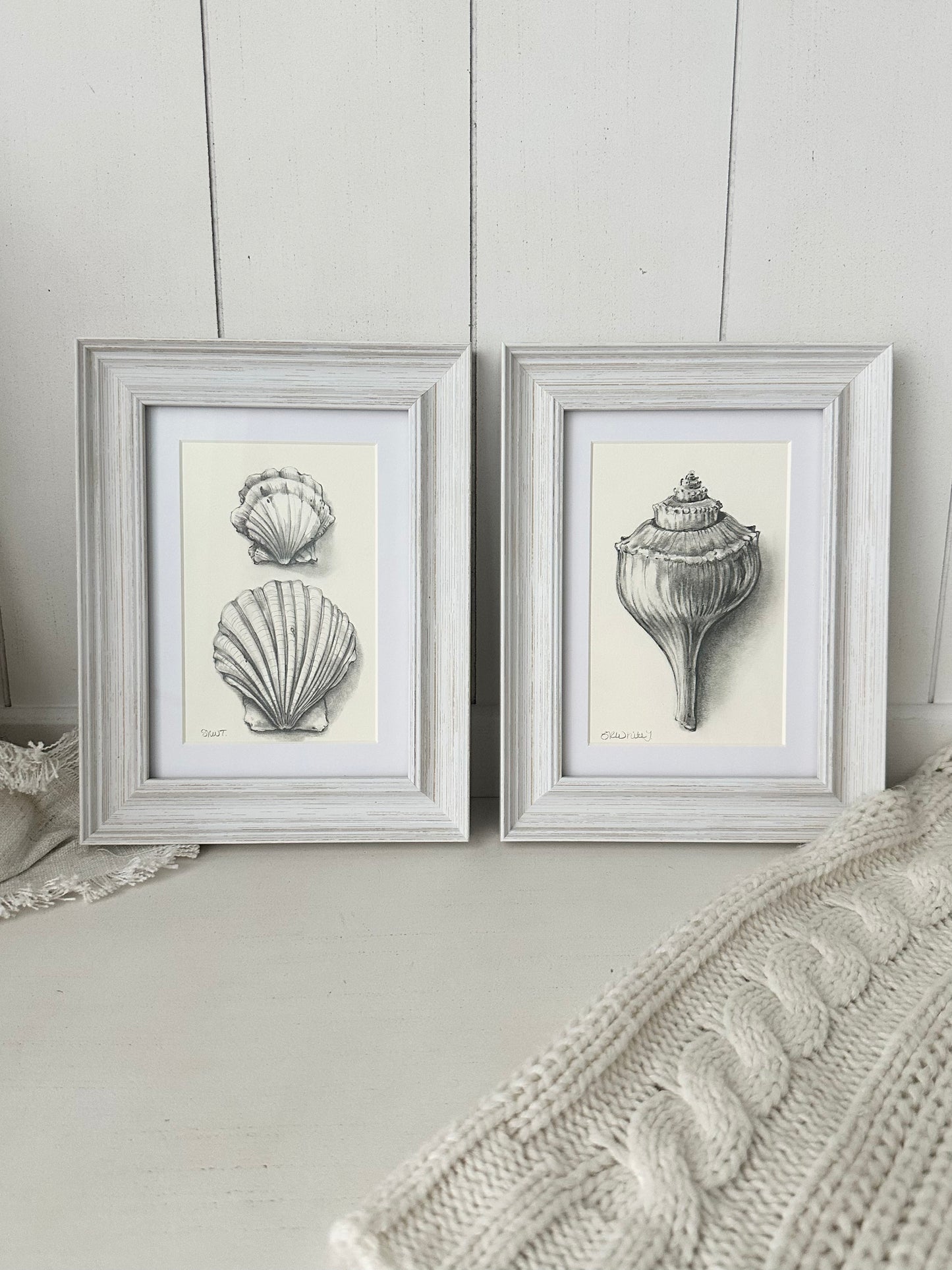 SEASHELL DUO