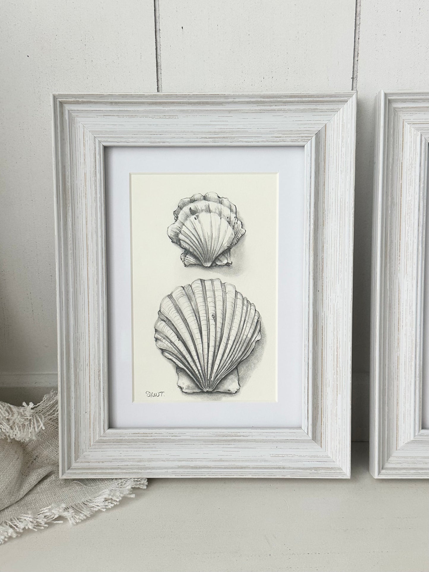 SEASHELL DUO
