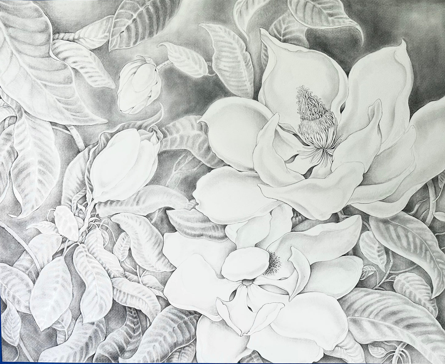 MAGNOLIA SUMMER