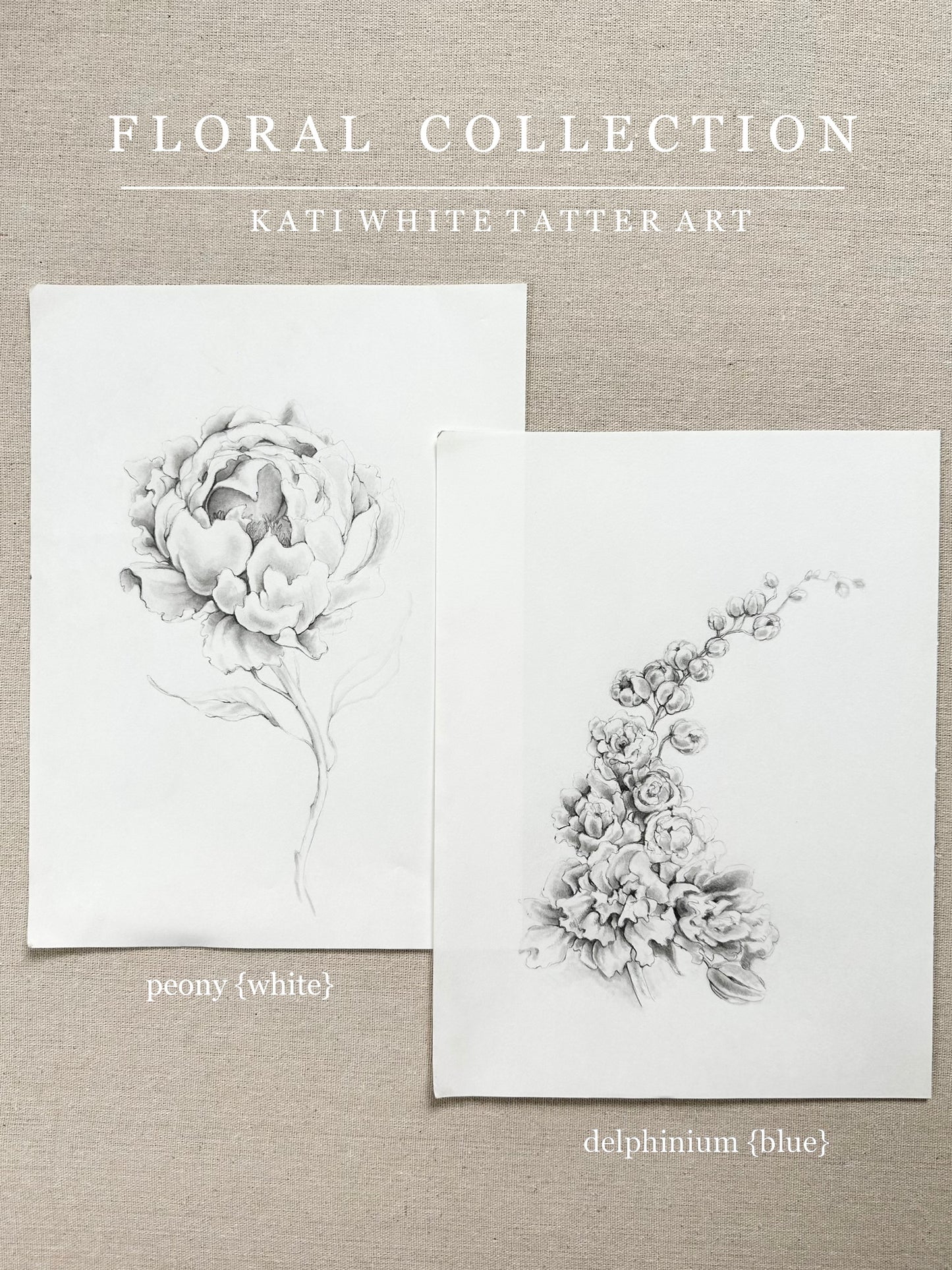 PEONY {white}