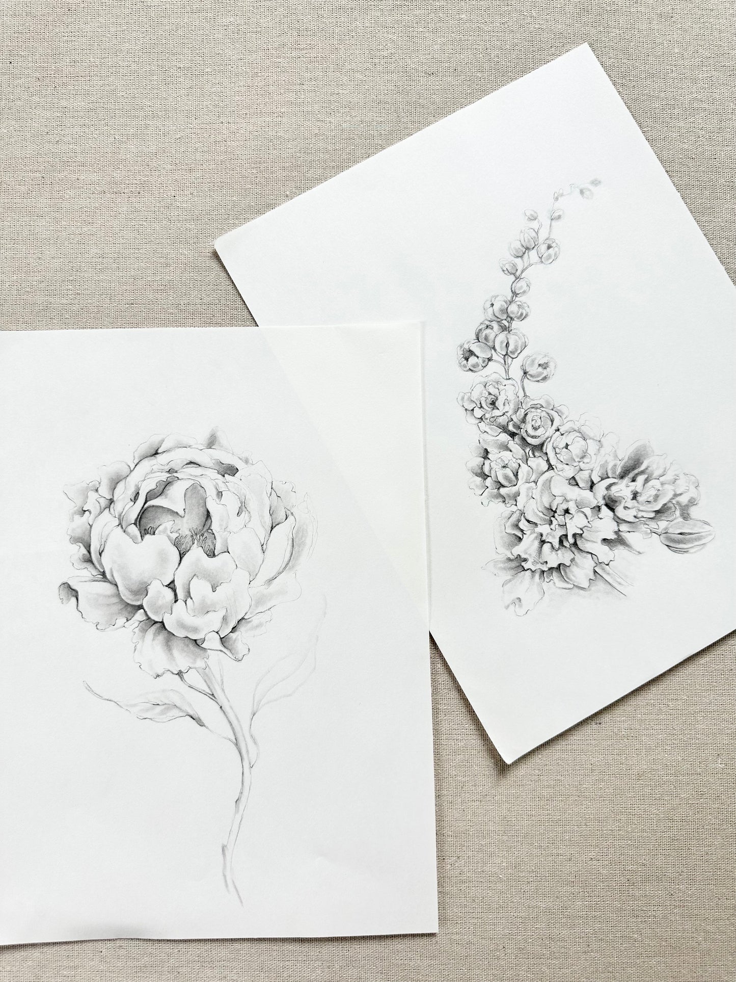 PEONY {white}