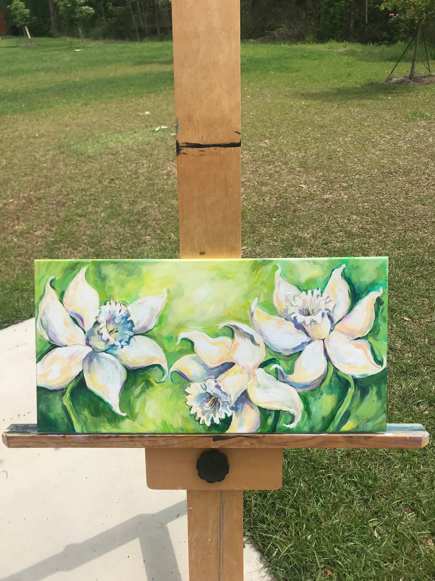 DAFFODILS