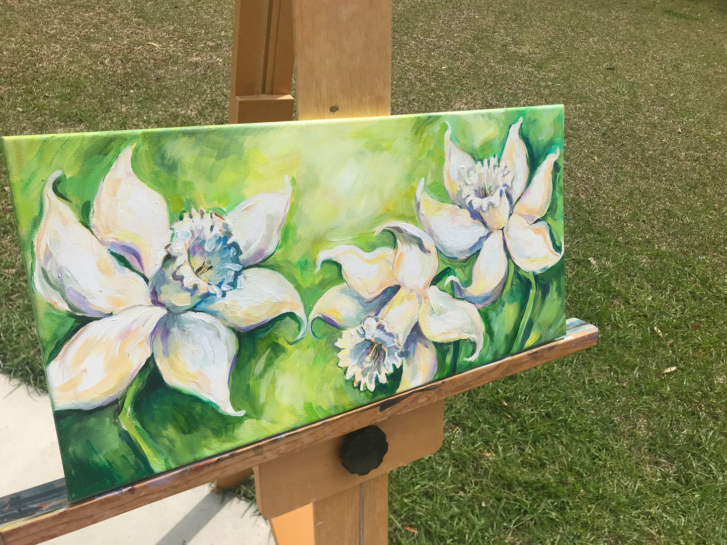 DAFFODILS