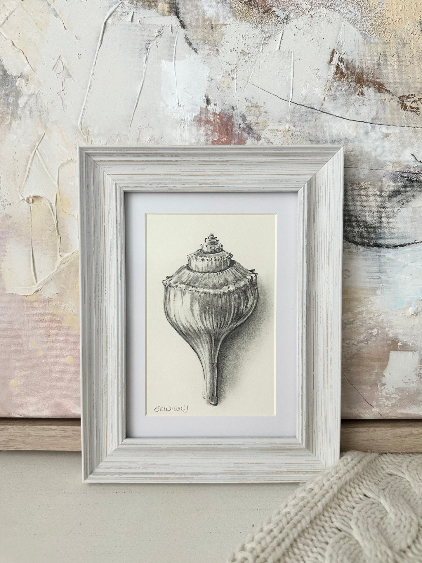 SOLO SEASHELL