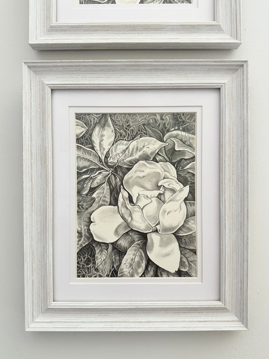 MAGNOLIA MAY