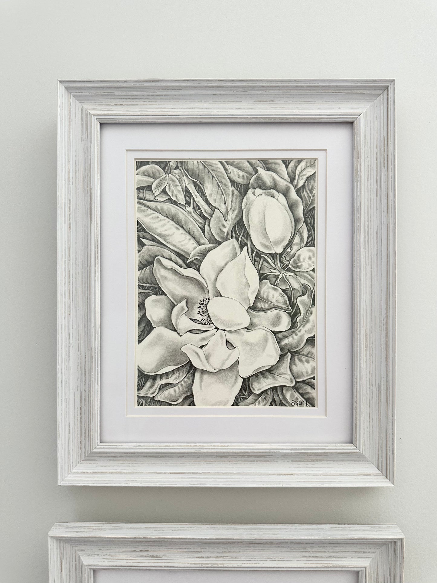 MAGNOLIA JUNE