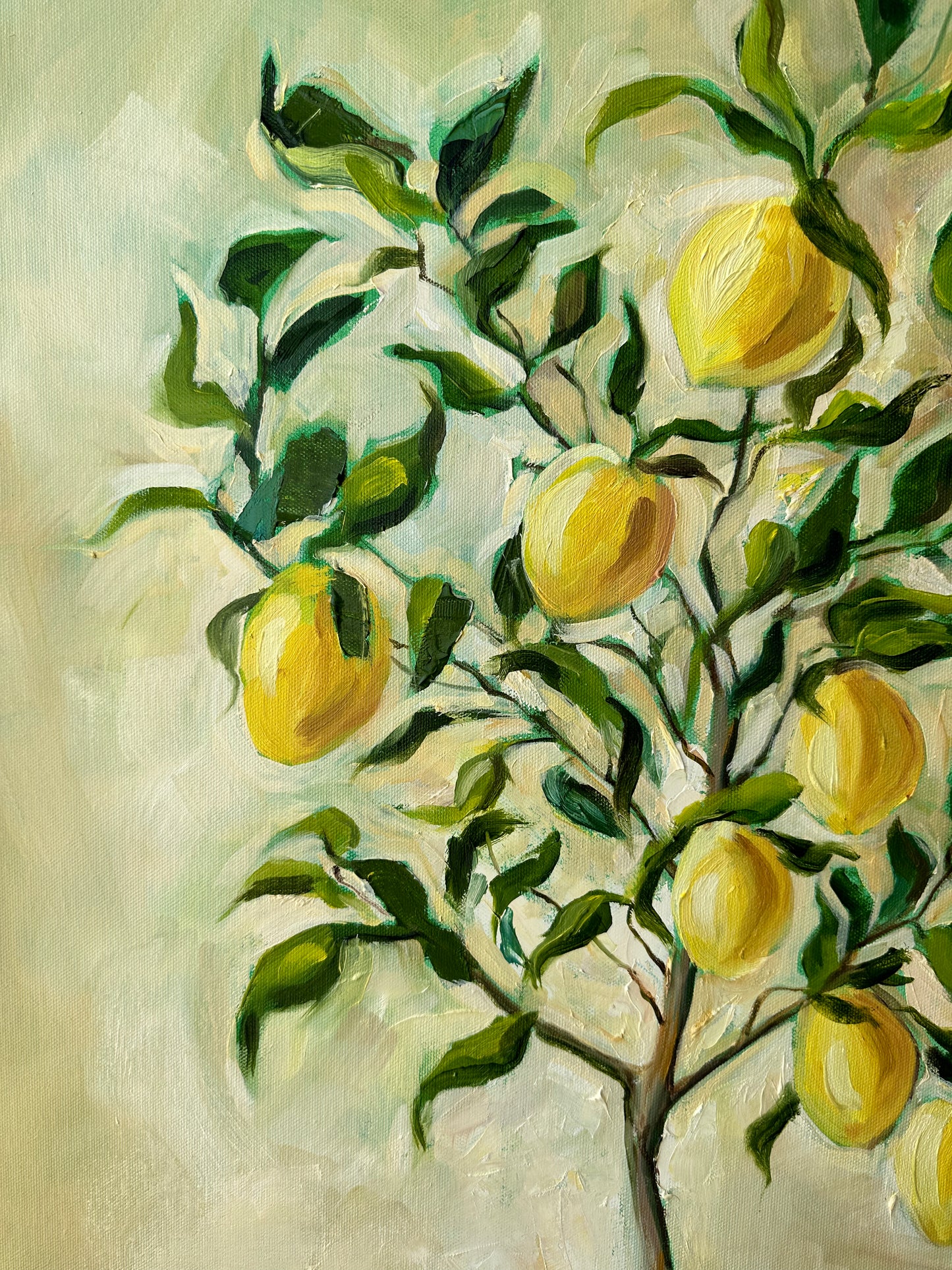 LEMON TREE