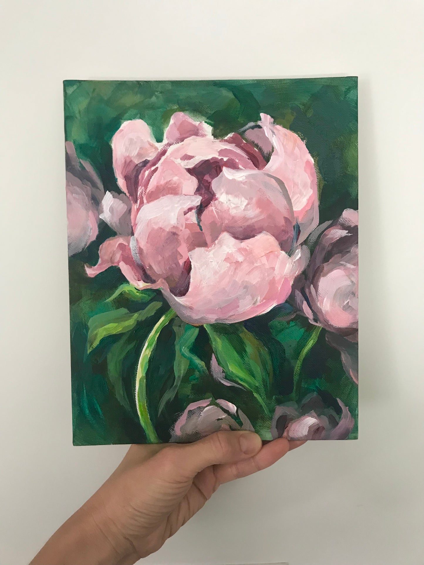 PEONY